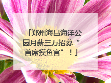 郑州海昌海洋公园月薪三万招募“首席摸鱼官”！
