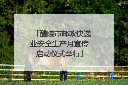 醴陵市邮政快递业安全生产月宣传启动仪式举行