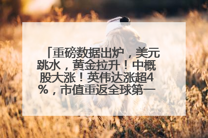 重磅数据出炉，美元跳水，黄金拉升！中概股大涨！英伟达涨超4%，市值重返全球第一！黄仁勋计划出售至多600万股股票