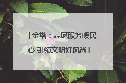 金塔：志愿服务暖民心 引领文明好风尚