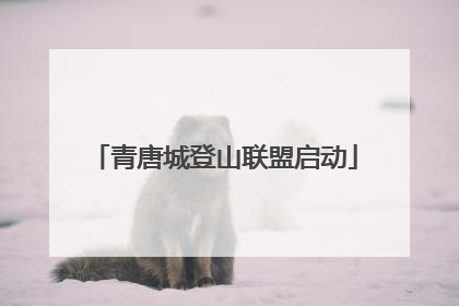 青唐城登山联盟启动