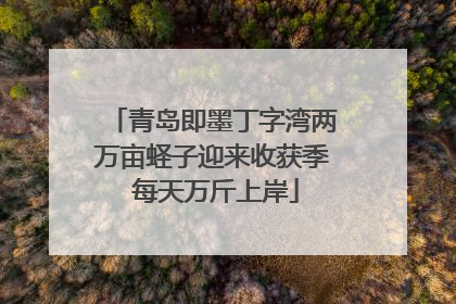 青岛即墨丁字湾两万亩蛏子迎来收获季 每天万斤上岸