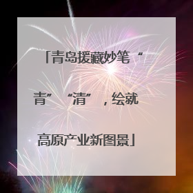 青岛援藏妙笔“青”“清”，绘就高原产业新图景