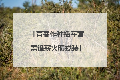 青春作种播军营 雷锋薪火照戎装