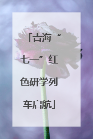 青海“七一”红色研学列车启航