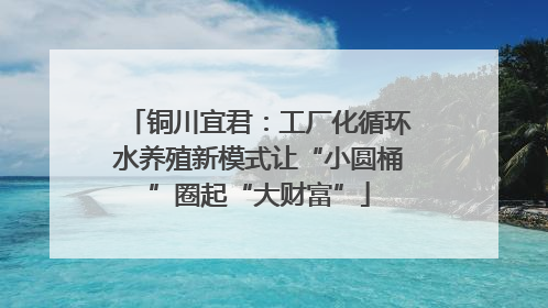 铜川宜君：工厂化循环水养殖新模式让“小圆桶”圈起“大财富”