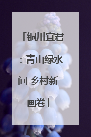 铜川宜君：青山绿水间 乡村新画卷