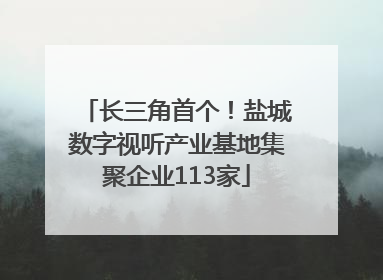 长三角首个！盐城数字视听产业基地集聚企业113家