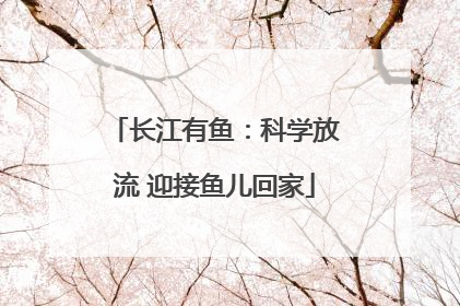 长江有鱼：科学放流 迎接鱼儿回家