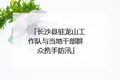 长沙县驻龙山工作队与当地干部群众携手防汛