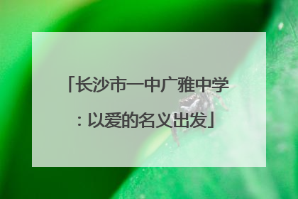 长沙市一中广雅中学：以爱的名义出发