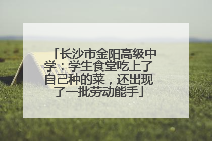 长沙市金阳高级中学：学生食堂吃上了自己种的菜，还出现了一批劳动能手