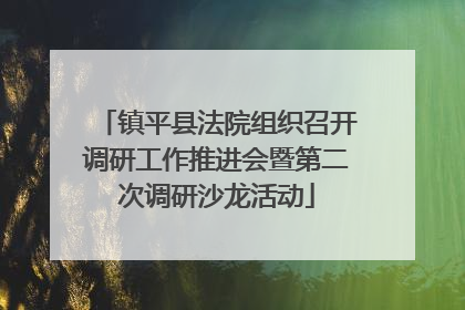 镇平县法院组织召开调研工作推进会暨第二次调研沙龙活动