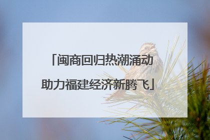 闽商回归热潮涌动 助力福建经济新腾飞
