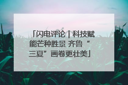 闪电评论｜科技赋能芒种胜景 齐鲁“三夏”画卷更壮美