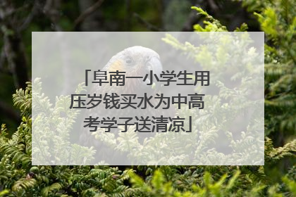 阜南一小学生用压岁钱买水为中高考学子送清凉