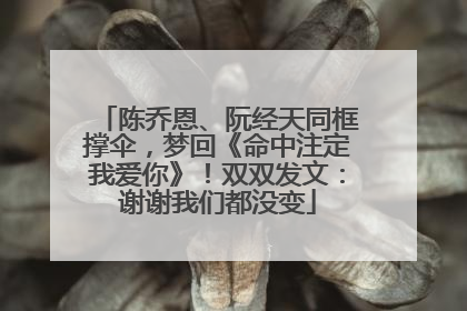 陈乔恩、阮经天同框撑伞，梦回《命中注定我爱你》！双双发文：谢谢我们都没变