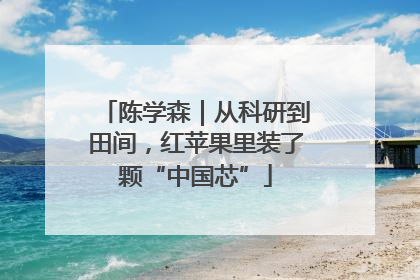 陈学森｜从科研到田间，红苹果里装了颗“中国芯”
