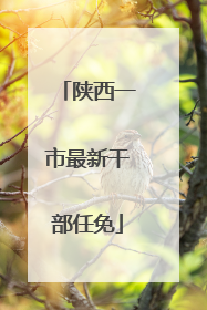 陕西一市最新干部任免