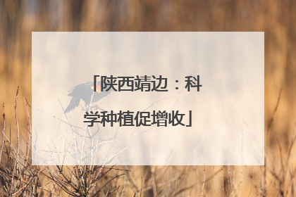 陕西靖边：科学种植促增收