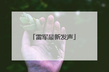 雷军最新发声