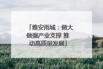 雅安雨城：做大做强产业支撑 推动高质量发展