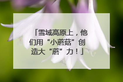 雪域高原上，他们用“小蘑菇”创造大“蘑”力！