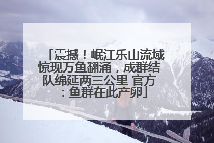 震撼！岷江乐山流域惊现万鱼翻涌，成群结队绵延两三公里 官方：鱼群在此产卵