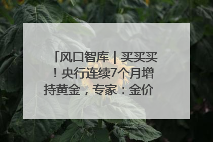 风口智库｜买买买！央行连续7个月增持黄金，专家：金价或仍易涨难跌