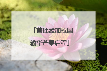 首批孟加拉国输华芒果启程