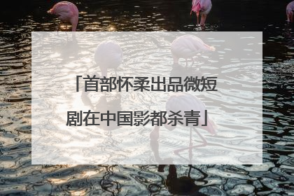 首部怀柔出品微短剧在中国影都杀青