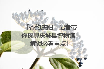 香约庆阳丨记者带你探寻庆城县博物馆 解锁必看重点