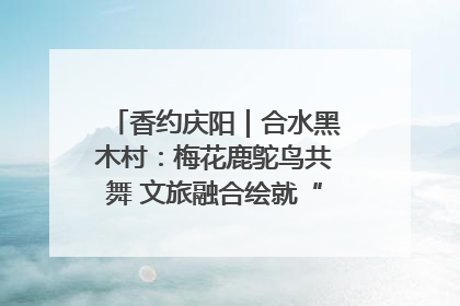 香约庆阳｜合水黑木村：梅花鹿鸵鸟共舞 文旅融合绘就“诗与远方”