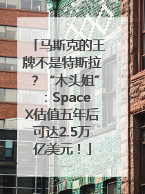 马斯克的王牌不是特斯拉？“木头姐”：SpaceX估值五年后可达2.5万亿美元！