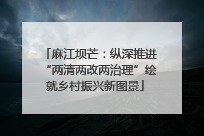 麻江坝芒：纵深推进“两清两改两治理”绘就乡村振兴新图景