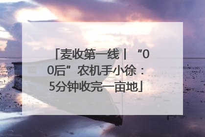 麦收第一线丨“00后”农机手小徐：5分钟收完一亩地