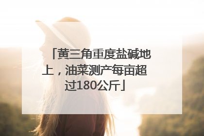黄三角重度盐碱地上，油菜测产每亩超过180公斤