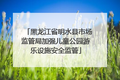 黑龙江省明水县市场监管局加强儿童公园游乐设施安全监管