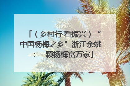 （乡村行·看振兴）“中国杨梅之乡”浙江余姚：一颗杨梅富万家