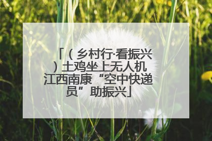 （乡村行·看振兴）土鸡坐上无人机 江西南康“空中快递员”助振兴
