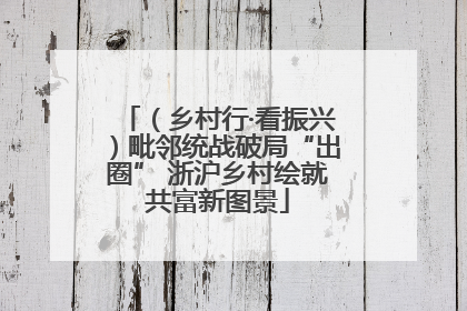 （乡村行·看振兴）毗邻统战破局“出圈” 浙沪乡村绘就共富新图景