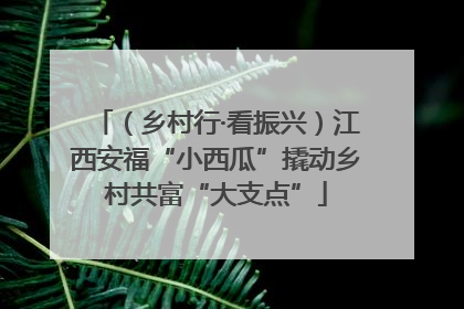（乡村行·看振兴）江西安福“小西瓜”撬动乡村共富“大支点”