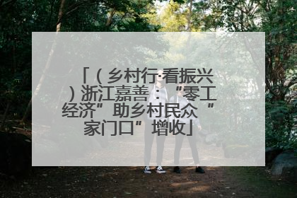 （乡村行·看振兴）浙江嘉善：“零工经济”助乡村民众“家门口”增收