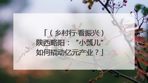 （乡村行·看振兴）陕西略阳：“小瓢儿”如何撬动亿元产业？