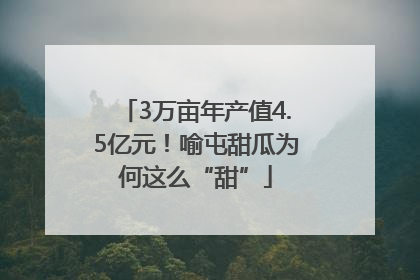 3万亩年产值4.5亿元！喻屯甜瓜为何这么“甜”