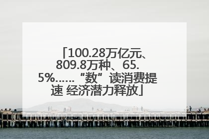 100.28万亿元、809.8万种、65.5%……“数”读消费提速 经济潜力释放