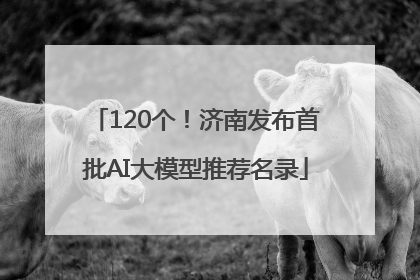 120个！济南发布首批AI大模型推荐名录