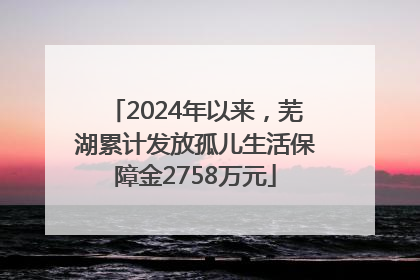 2024年以来，芜湖累计发放孤儿生活保障金2758万元