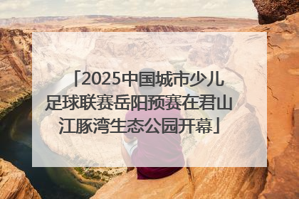 2025中国城市少儿足球联赛岳阳预赛在君山江豚湾生态公园开幕