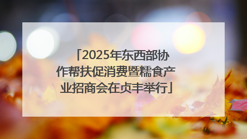 2025年东西部协作帮扶促消费暨糯食产业招商会在贞丰举行
